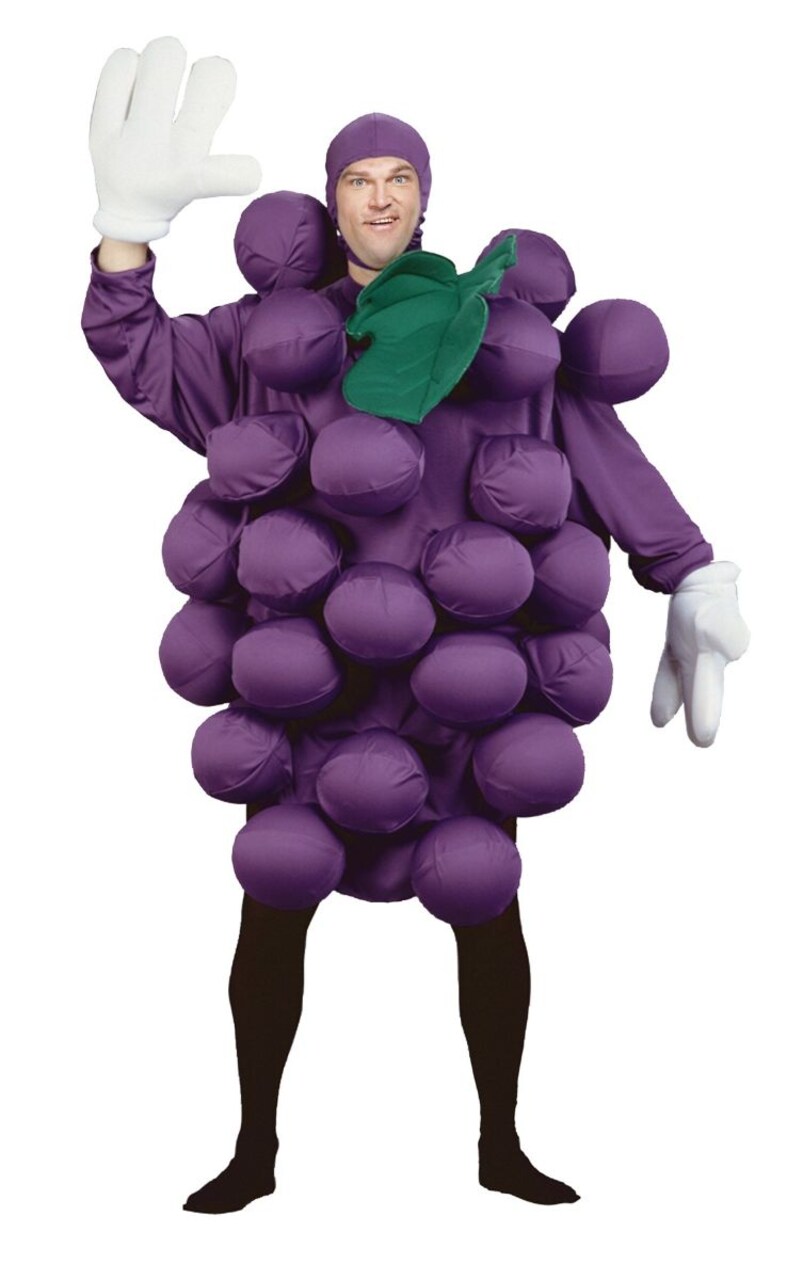 Grape fancy top dress costume